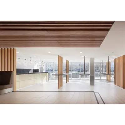 画像 LINEA 2.4.3 Suspended ceiling