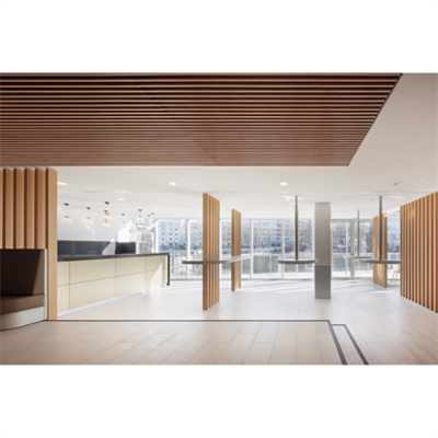 Image pour Lauder LINEA 2.4.3 Plafond