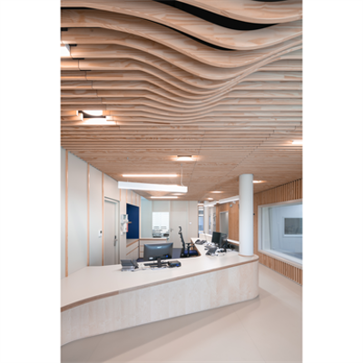 Image for LINEA SHAPE Suspended ceiling