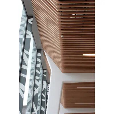 Image for LINEA 2.6.8 Wall cladding
