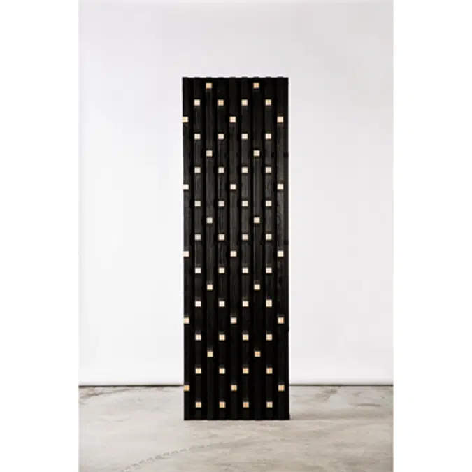 Lauder LINEA 3D PIX Mur