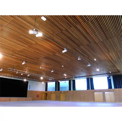 画像 LINEA 2.4.6 Suspended ceiling