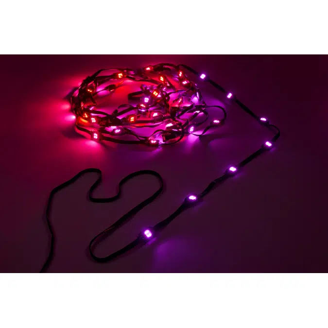 Exterior Dot-4 Pro Outdoor-Rated, String-Based RGBW LED Dots - Medium