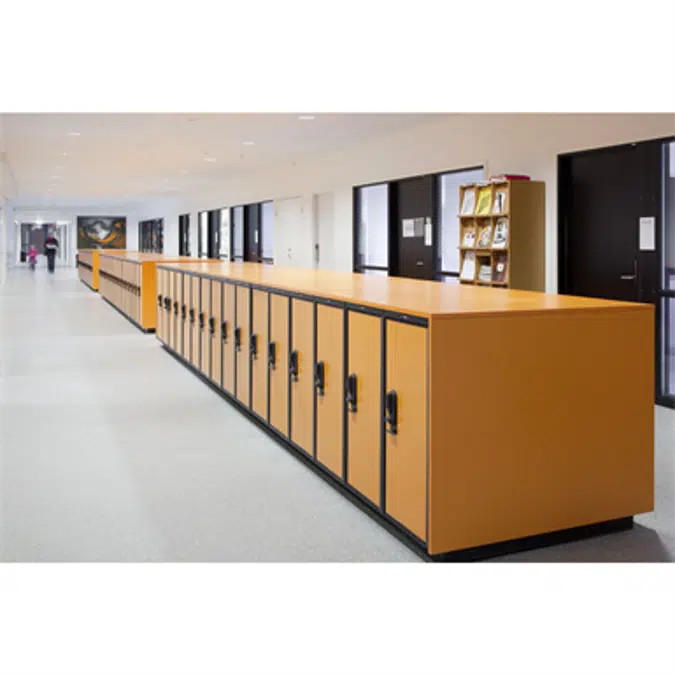 School cabinets L401