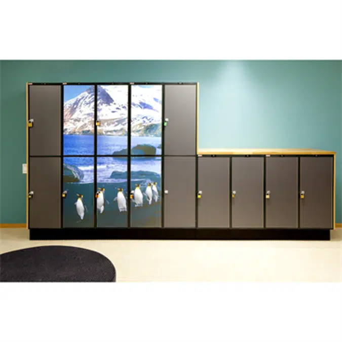 School cabinets L401