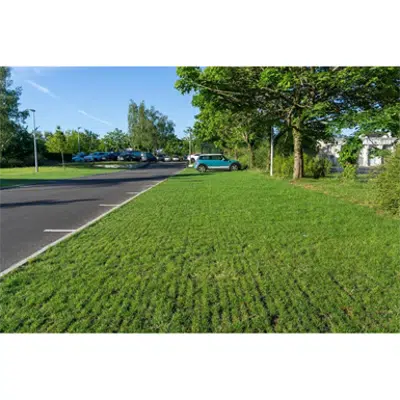 imagen para ECORASTER XXL