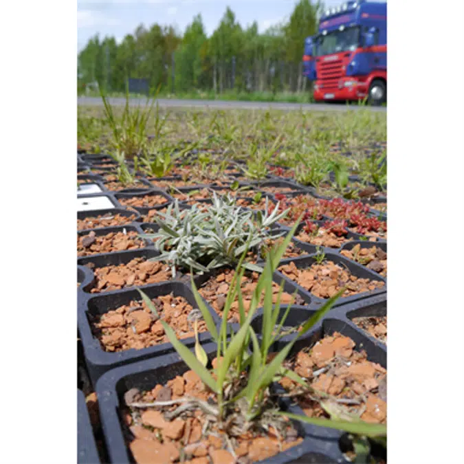 ECORASTER XXL
