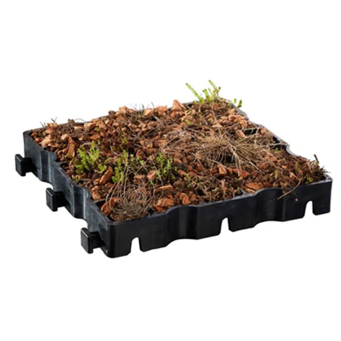 ECORASTER E50