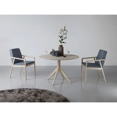 Image for Table Ramo X