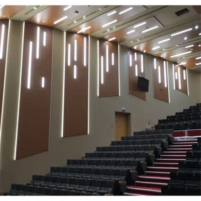 画像 Acoustic and decorative panel Mappywood PR (20mm hole)