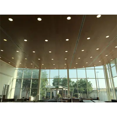 画像 Acoustic and decorative panel Mappywood PR (6mm hole)