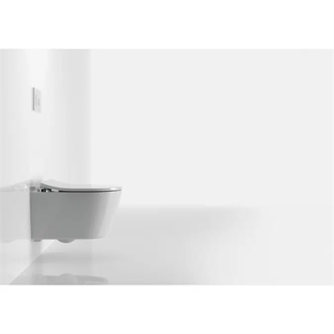 RP™ Wall-Hung Toilet