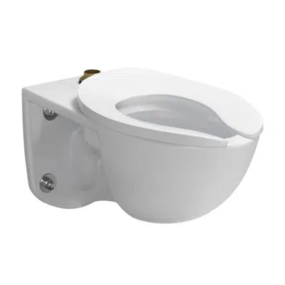 Image for COMMERCIAL FLUSHOMETER TORNADO FLUSH®, TOP SPUD WALL-HUNG TOILET – 1.0/1.28/1.6 GPF 