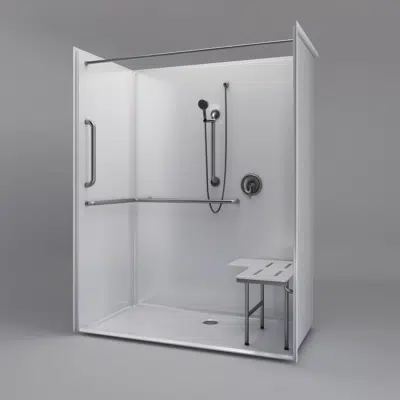 Image for 63" x 39" ADA Roll In Shower - One-piece - Title 24 - APC6339BF1P