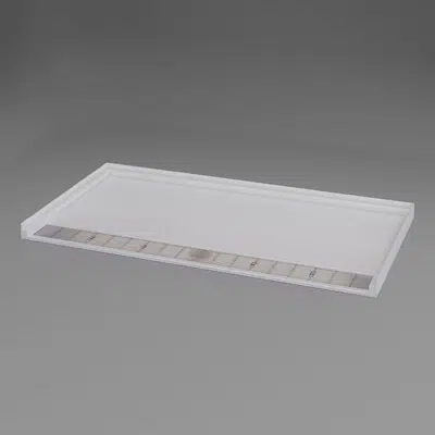 Image for 61 7/8" x 33" Linear Trench Drain ADA Roll In Shower Pan - APF6234LDPANSS