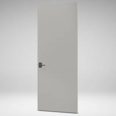 Image for Tru&Modern Flush (TMF) Door - TMF1000