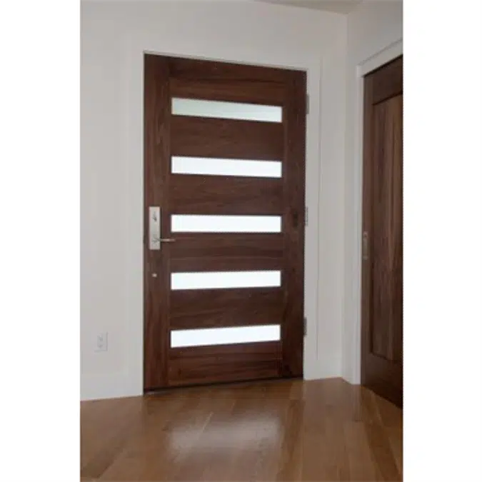 TruStile Modern (TM Series) Door - TM5100