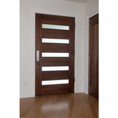 Image pour TruStile Modern (TM Series) Door - TM5100