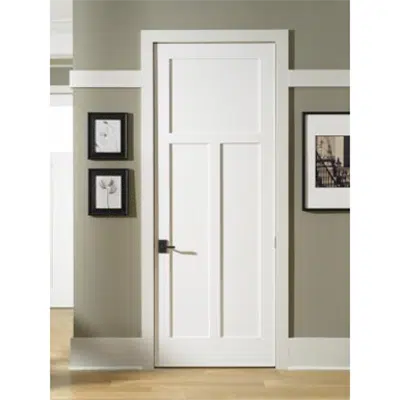 TruStile TS Series Door TS - TS3300图像
