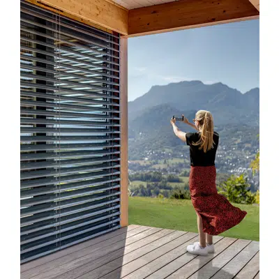 Image for External Venetian Blind Lamisol III
