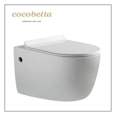 Image for Wall-hung toilet