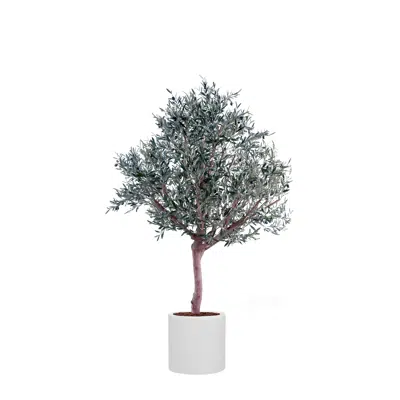 Image for The Olive tree in a white cylinder pot. Artificial plant