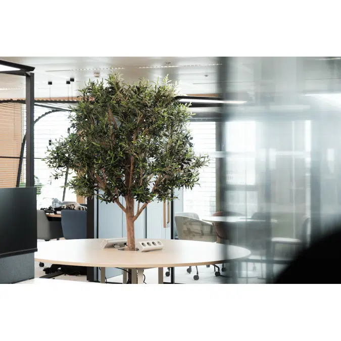 The Olive tree in a white cylinder pot. Artificial plant