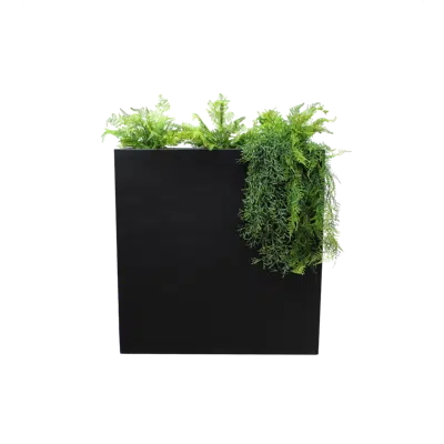 Image for Divider: The Quito Tropicale L. Black Divider. Artificial plant