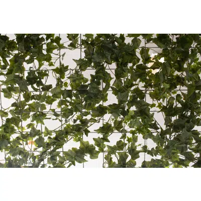Image for Ivy kit for ceiling. Artificial plant