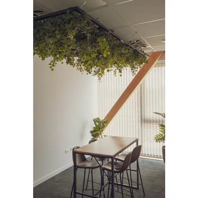 Ivy kit for ceiling. Artificial plant