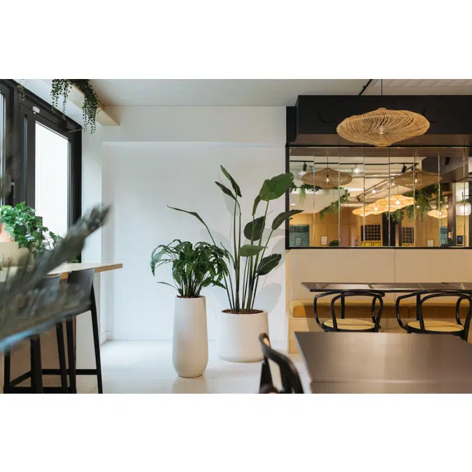 The Banana tree in a grey mineral pot. Artificial plant