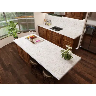 Image pour Alaska White Quartz Countertop