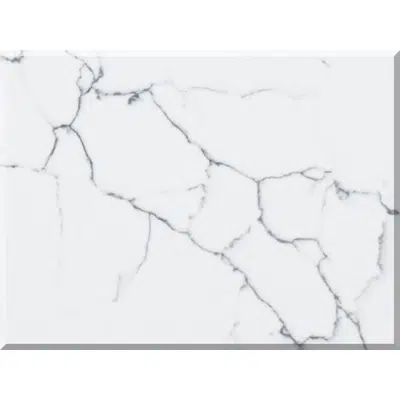 Image pour Venatino Quartz Countertop