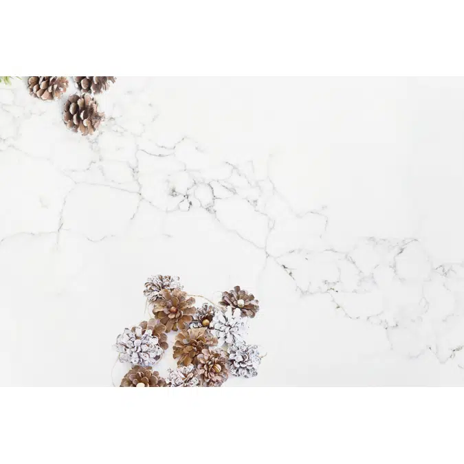Statuario Quartz Countertop