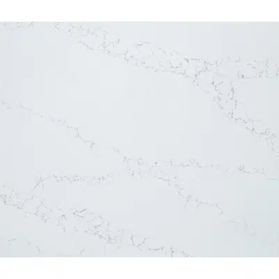 Image pour Statuario Quartz Countertop