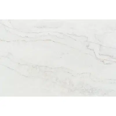 Bendecio Quartz Countertop 이미지