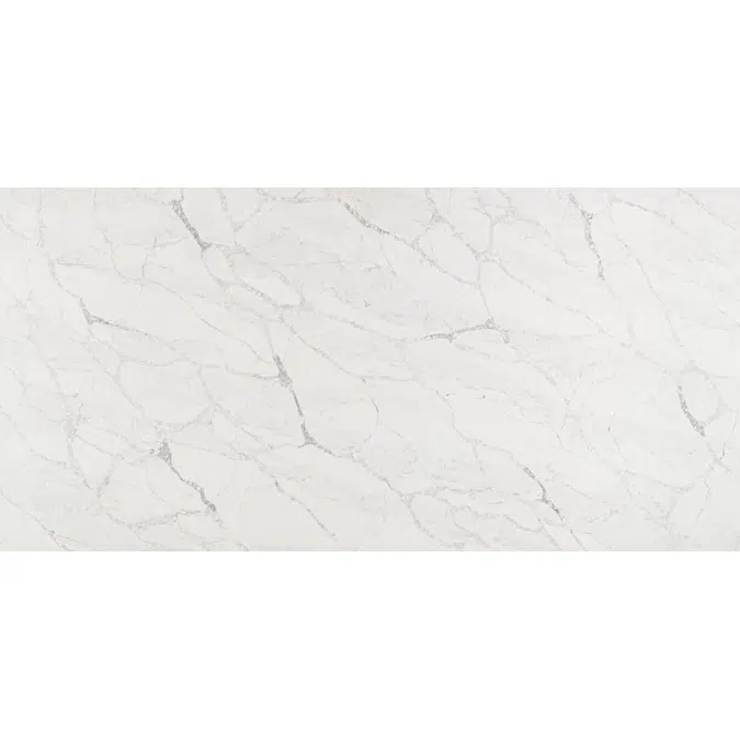 Grey Monet Quartz Countertop