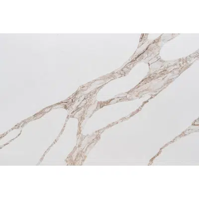 изображение для Vivalioro Quartz Countertop