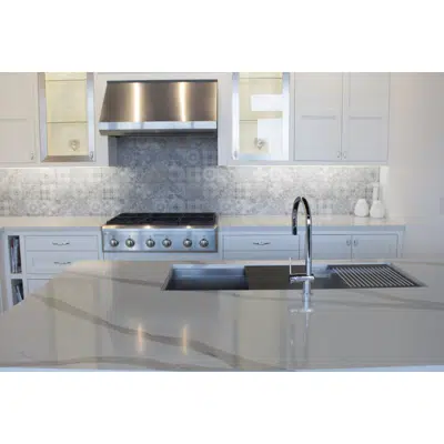 Image pour Arabescato Quartz Countertop