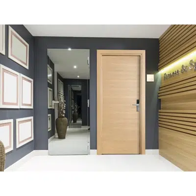 Image for OPERA DISUPER60 Hinged fire-rated door