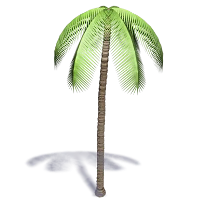kép a termékről - Palm Tree 4