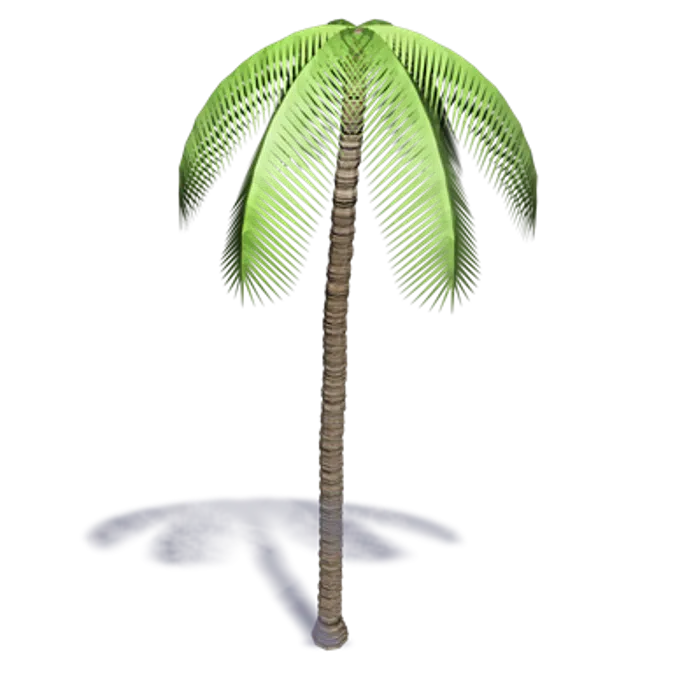 3d palm trees