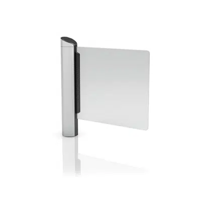 Image for Swing door