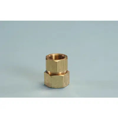 Image pour TracPipe® ﻿System | Pipe Fittings - AutoFlare Straight Fitting Female