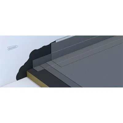 Image for NTV2 Non-walking roof