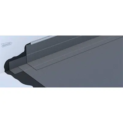 Image for NTV1 Non-walking roof