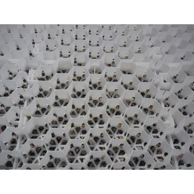 Image for Stabilising grating for gravel