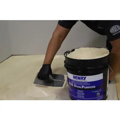 HENRY® 256 Dual Purpose için görüntü