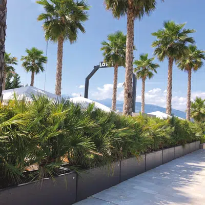 imazhi i SHORT - PLANTER