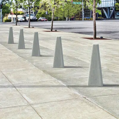 Image pour BOSTON - BOLLARD